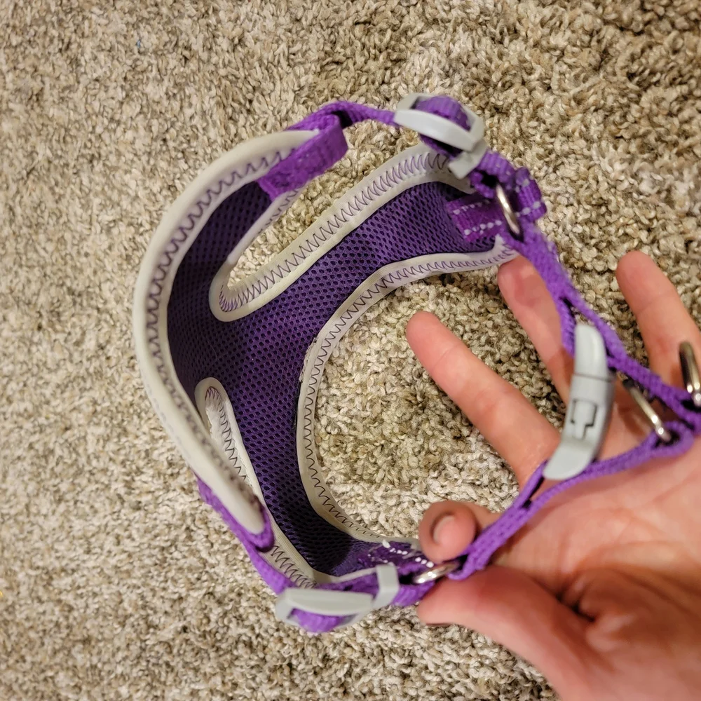 Purple and Gray Small Dog Harness